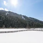 Fiif Pinzgau Chalet Wald im Pinzgau
