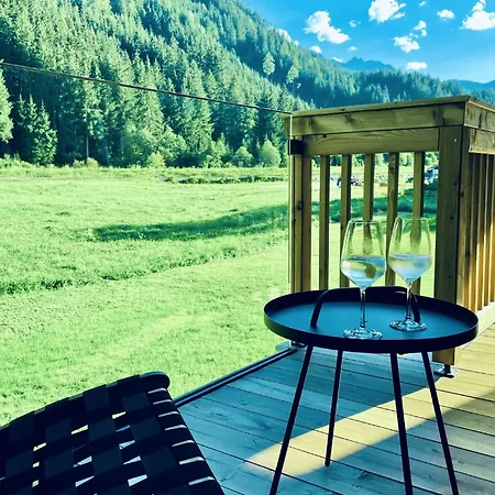 Fiif Pinzgau Wald im Pinzgau