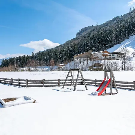 Fiif Pinzgau Wald im Pinzgau