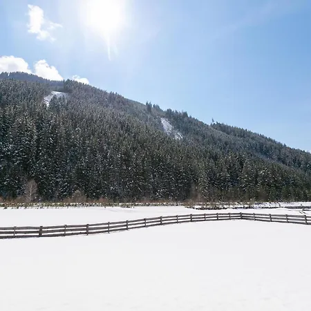 Fiif Pinzgau Chalet Wald im Pinzgau